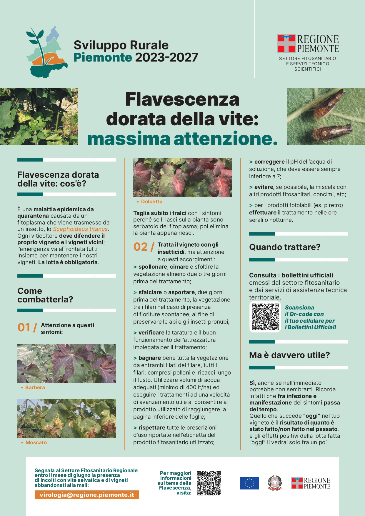 Lotta alla flavescenza dorata 2023